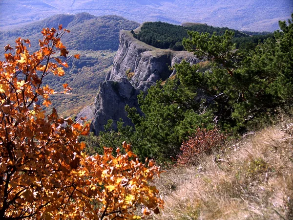 クリミア山脈の上部の石. ストック画像