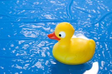 Toy duck clipart