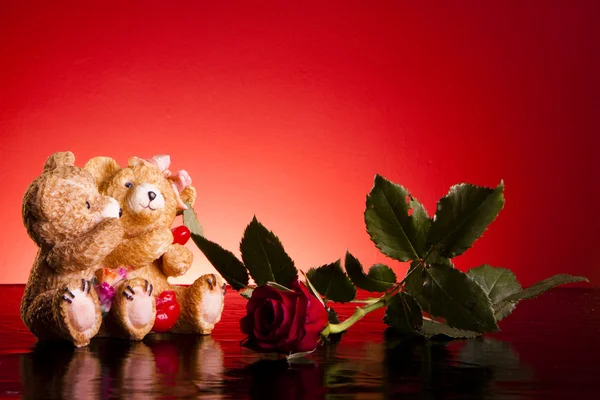 熊爱与玫瑰 — 图库照片