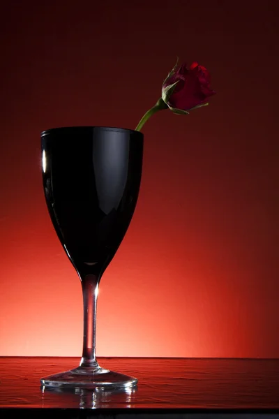 Rode wijn rose — Stockfoto
