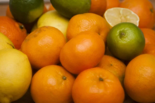 stock image Citrus fruits