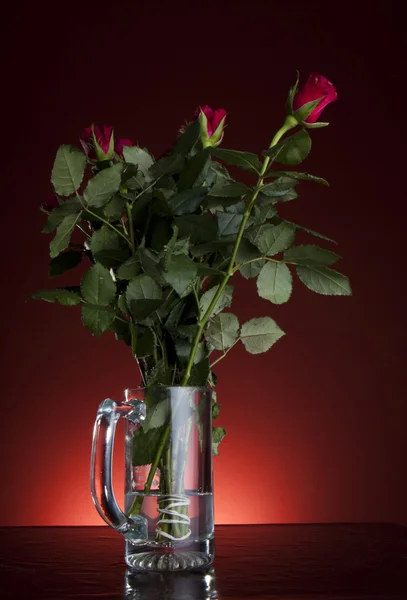Κόκκινα τριαντάφυλλα - κόκκινο φόντο — Φωτογραφία Αρχείου
