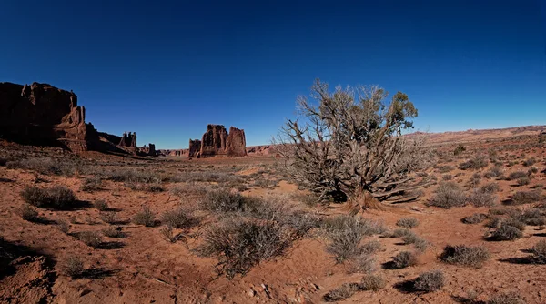 Panorama parku narodowego Arches — Zdjęcie stockowe