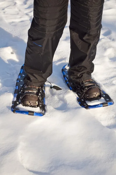 stock image Walking with snow rackets.