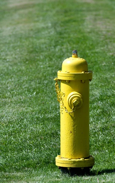 Prevention: yellow fire hydrant — Stock Photo, Image