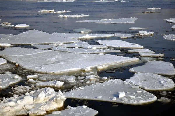 stock image Ice blocks in river