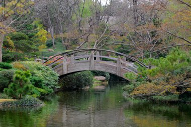 Japanese garden bridge clipart