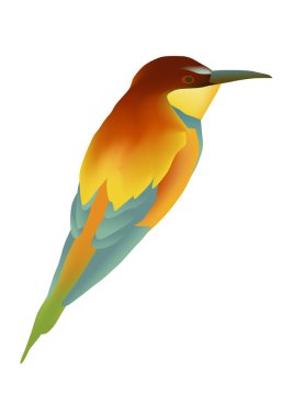 Kingfisher clipart