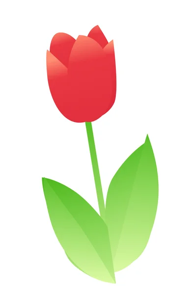 Kwiaty tulipanów — Zdjęcie stockowe