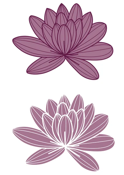 Fleur de lotus violet — Photo