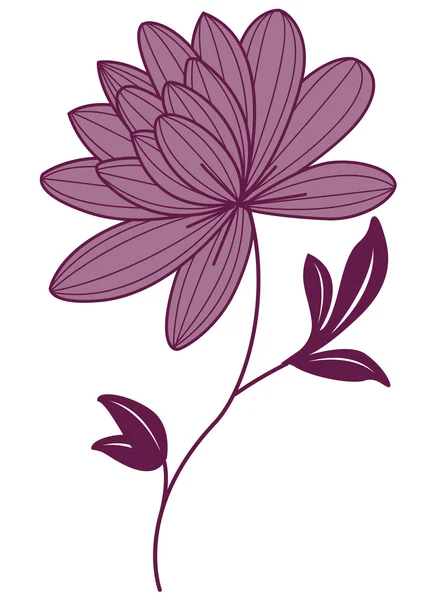 Purple lotus flower — Stock Photo, Image