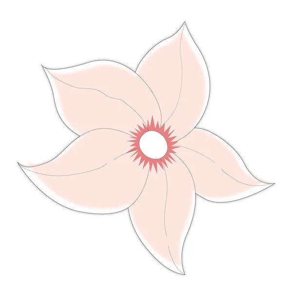 ดอกไม้สีชมพู — ภาพถ่ายสต็อก
