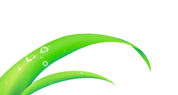 Gotas de água na folha verde — Fotografia de Stock