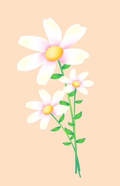 Белый дикий цветок — стоковое фото