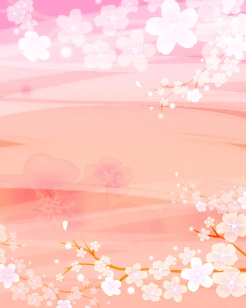 Sakura virág — Stock Fotó
