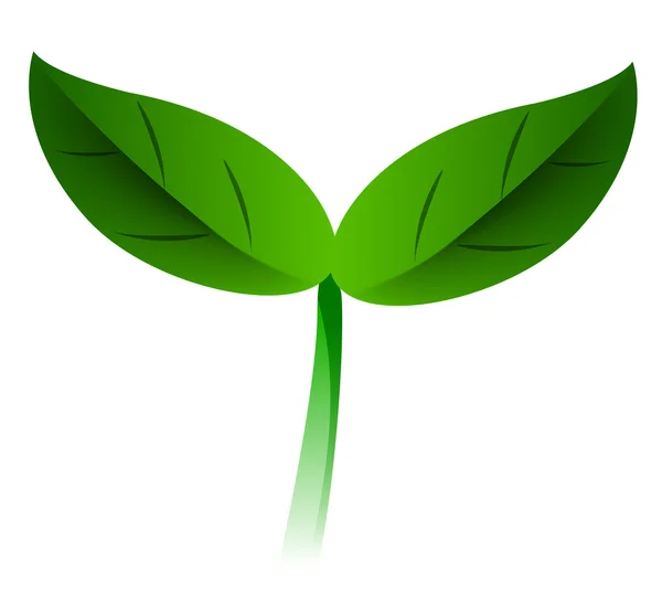 Siembra verde — Foto de Stock