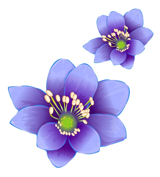 紫の花 — ストック写真