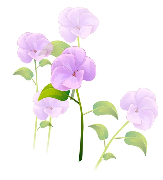 紫色的小花 — 图库照片