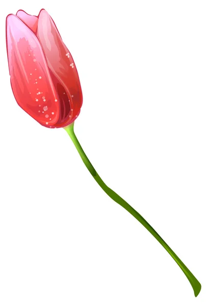 Flor roja — Foto de Stock