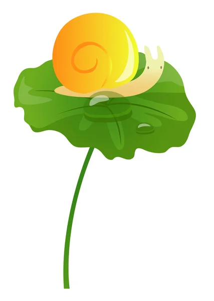 Bir salyangoz lotus yaprağı üzerinde — Stok fotoğraf