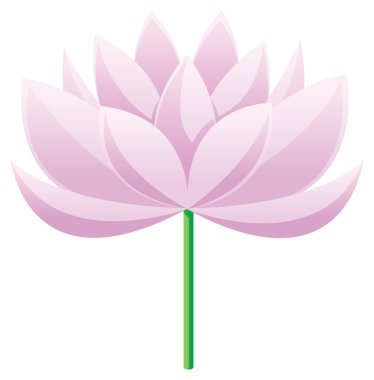 Lotus çiçeği.