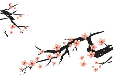 Chinese painting of pink plum clipart