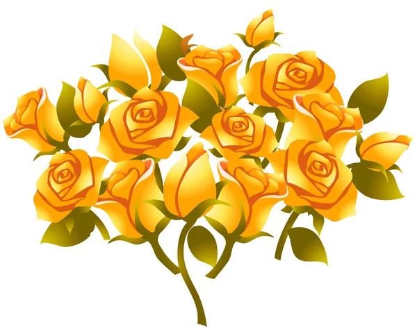 黄玫瑰花 — 图库照片