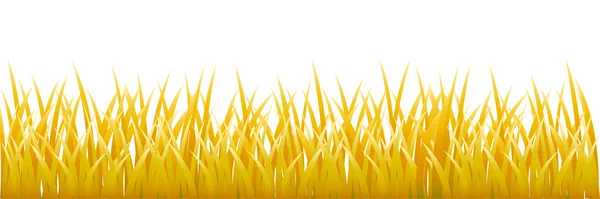 Zlatá tráva — Stock fotografie