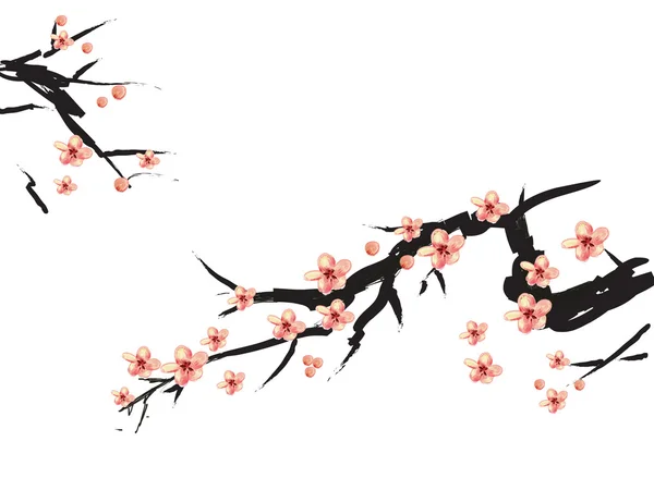 Kínai festészet rózsaszín szilva Stock Kép