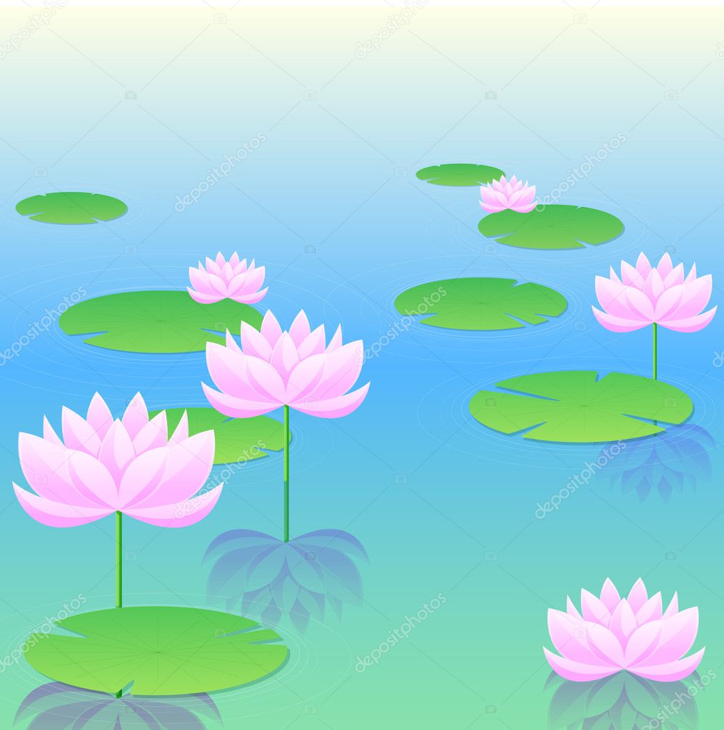 Lotus flower and leaves