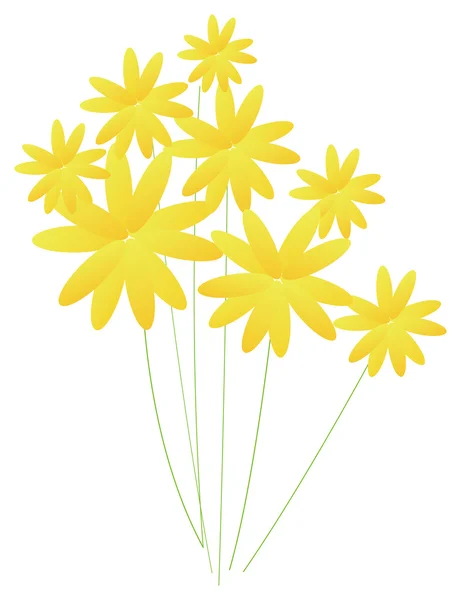 Flori sălbatice galbene — Fotografie, imagine de stoc