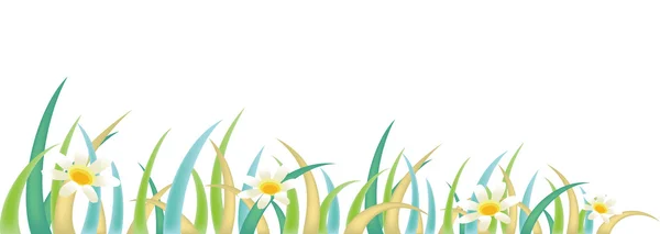 Papatya çiçeği ve çim — Stok fotoğraf