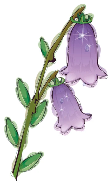 Paarse bloem — Stockfoto