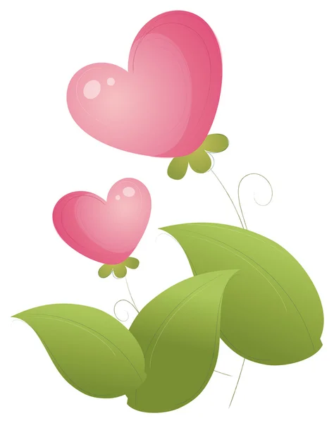 Heart flower — Stock Photo, Image