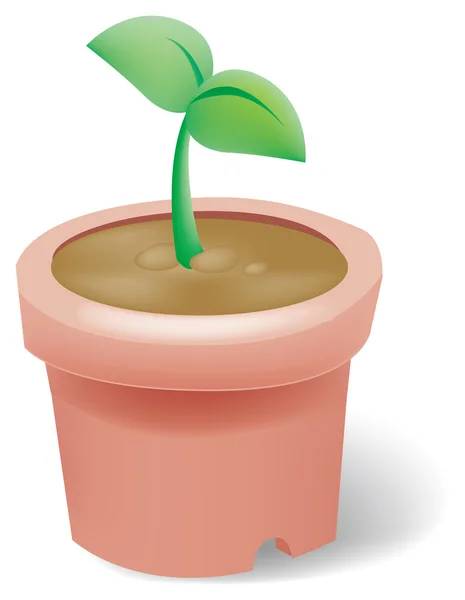 Seeding in flowerpot — Stock Photo, Image