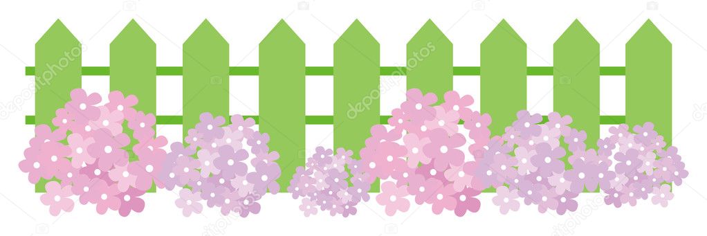 Flower and green fence
