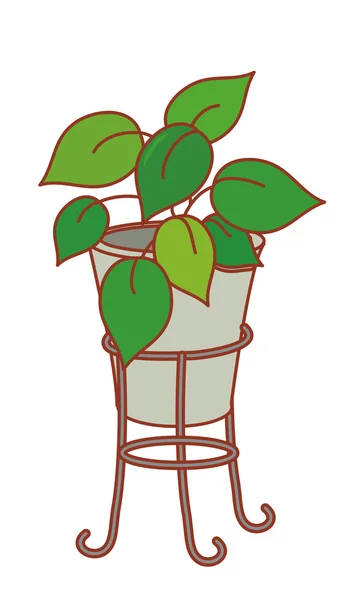 Um pote de plantas — Fotografia de Stock