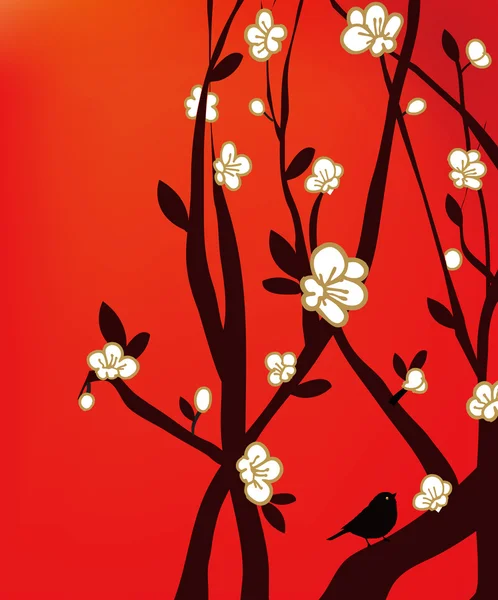 Kwiat śliwy — Zdjęcie stockowe