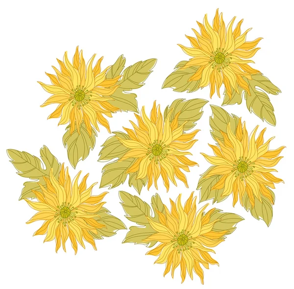 黄色雏菊花 — 图库照片