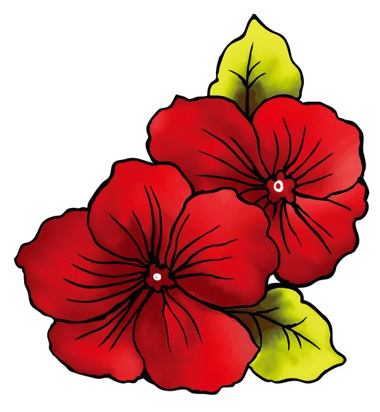 赤い花 ストック画像