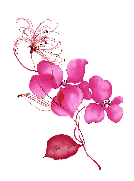 Flower — Stock Photo, Image