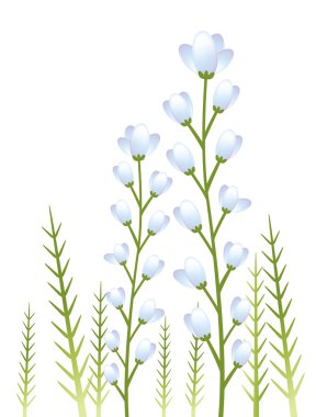 Flower clipart