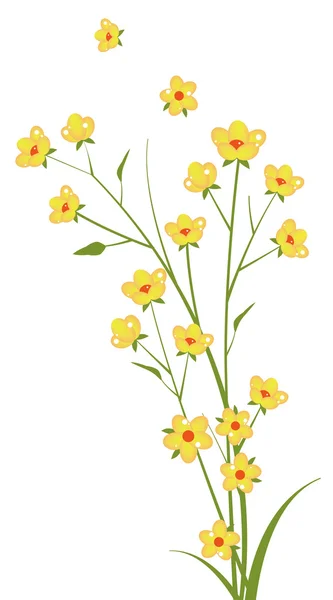 Žlutá wild flower — Stock fotografie