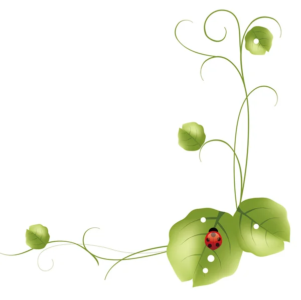 Zielone liście i biedronka — Zdjęcie stockowe