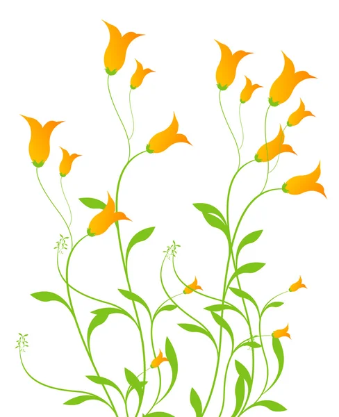 Orange flower — Stock Photo, Image