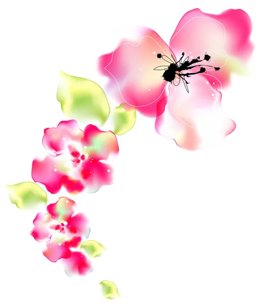 Aquarellmalerei der Blume — Stockfoto