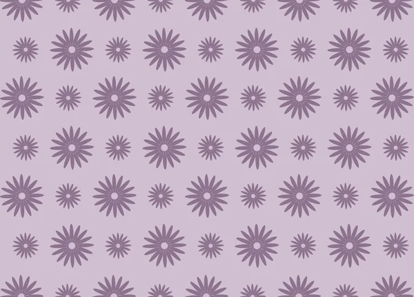 Stokrotka fioletowe kwiatki — Zdjęcie stockowe