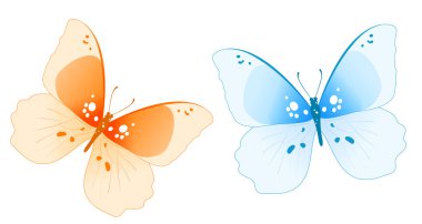 Butterfly clipart