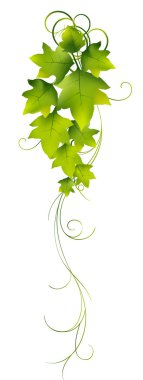 Leaves clipart