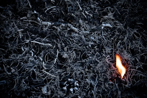 Cinzas e fogo — Fotografia de Stock
